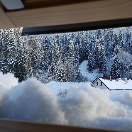 Appartement Le petit Kichon à Gérardmer Extérieur photo
