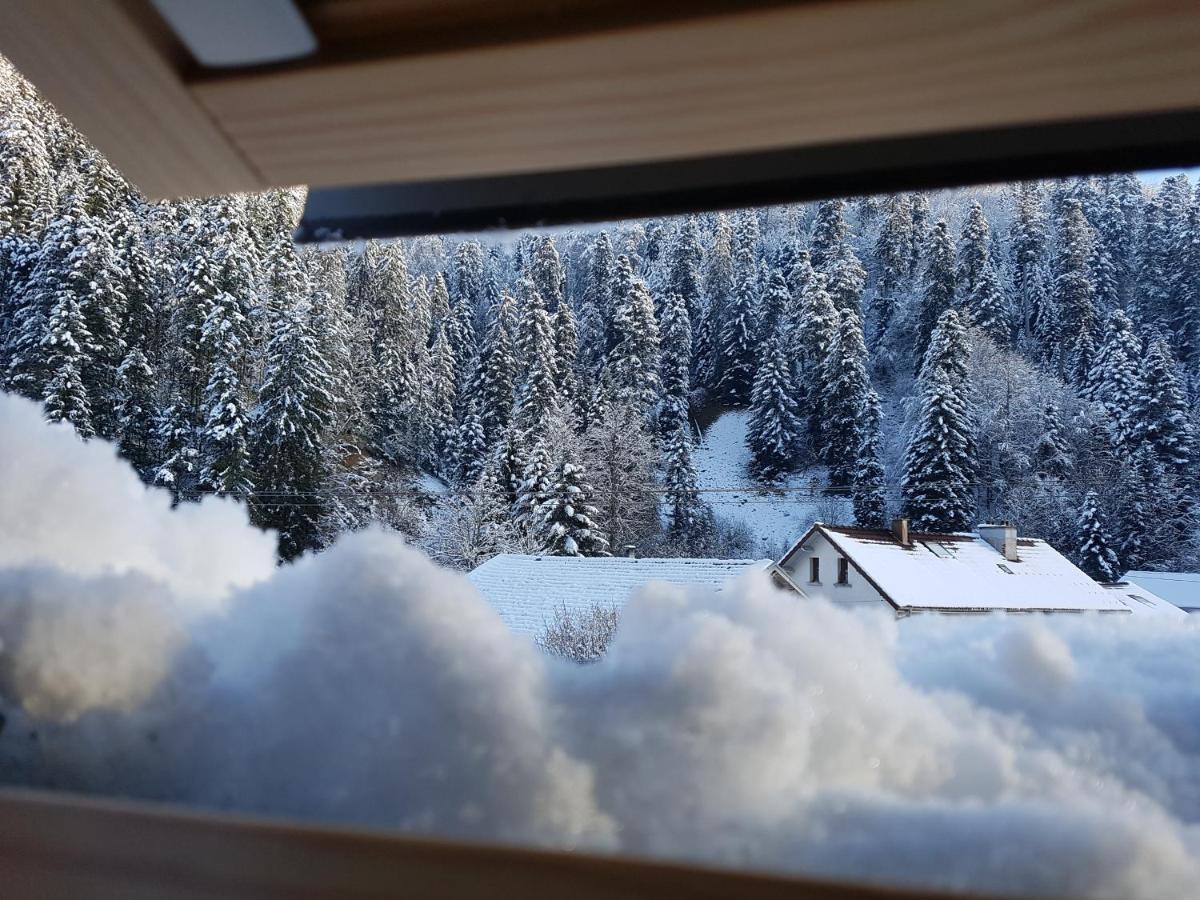 Le Petit Kichon Apartment Gerardmer