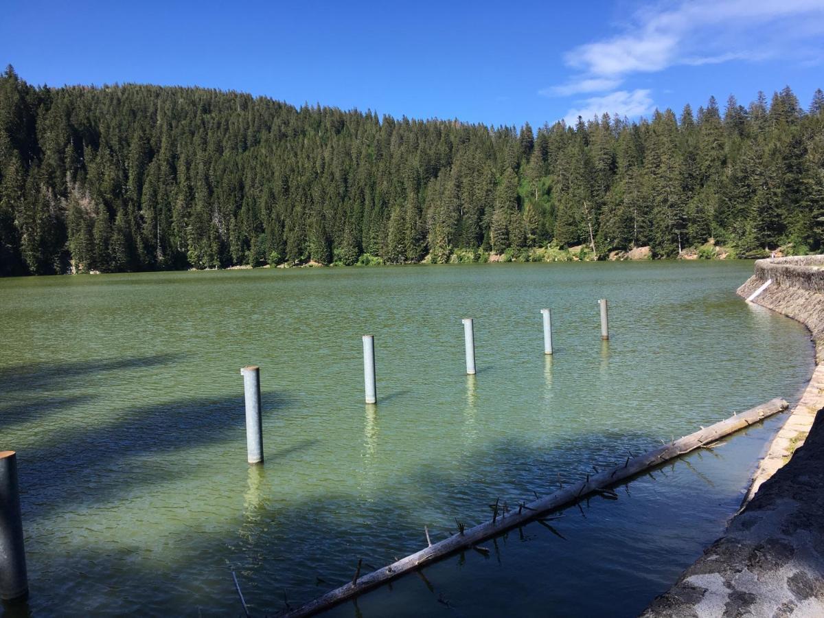 Le Petit Kichon Gerardmer