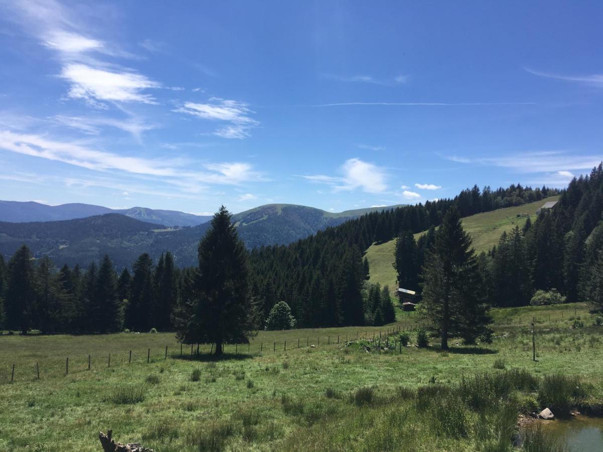 Apartamento Le Petit Kichon Gérardmer