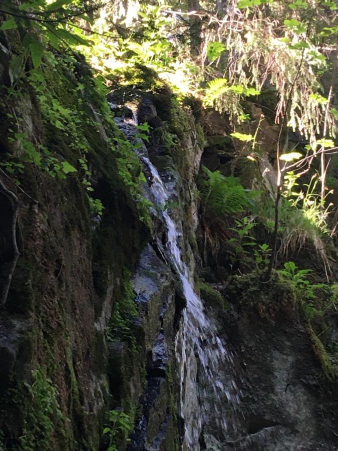 Le Petit Kichon Gerardmer